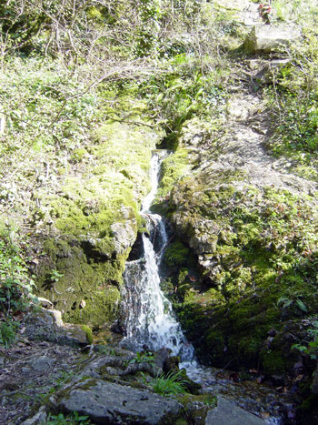 FONTAINE-MOUNIES